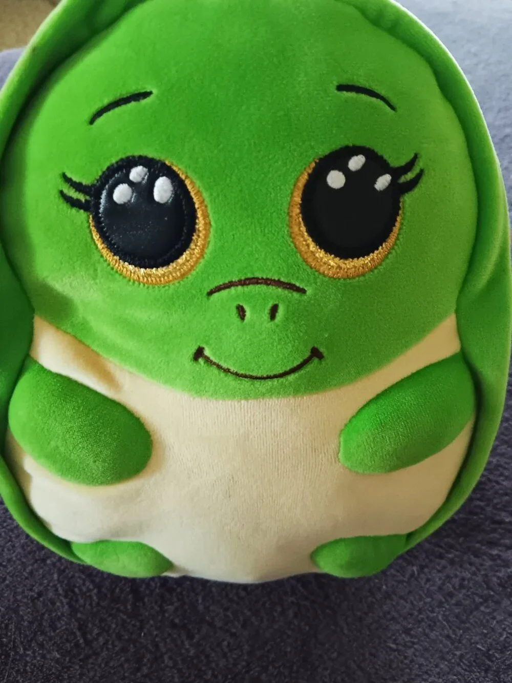 Sweet Baby Rainbow Turtle - Shrugs by Ty